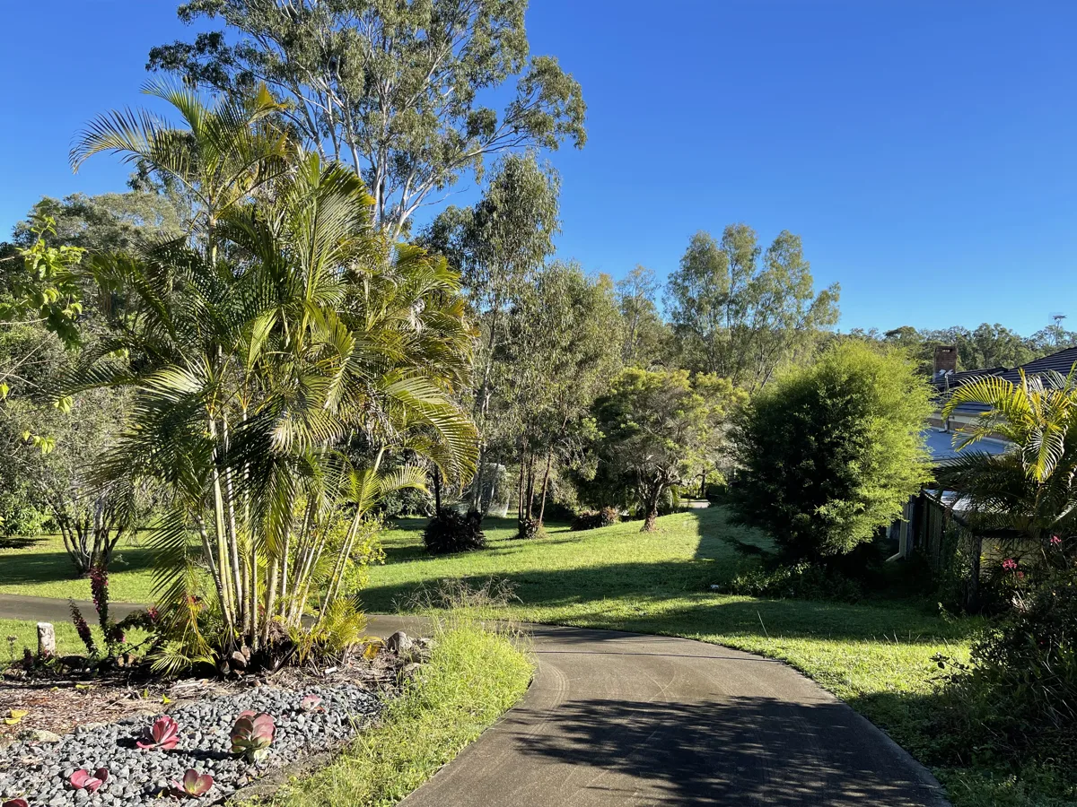 The driveway winding through the clinic grounds